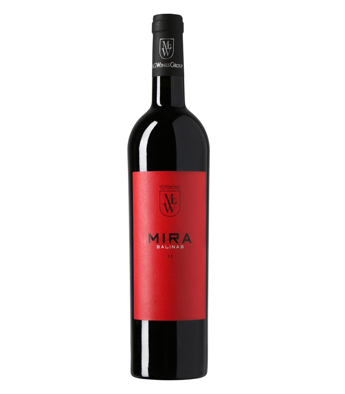 Mira Salinas 2013