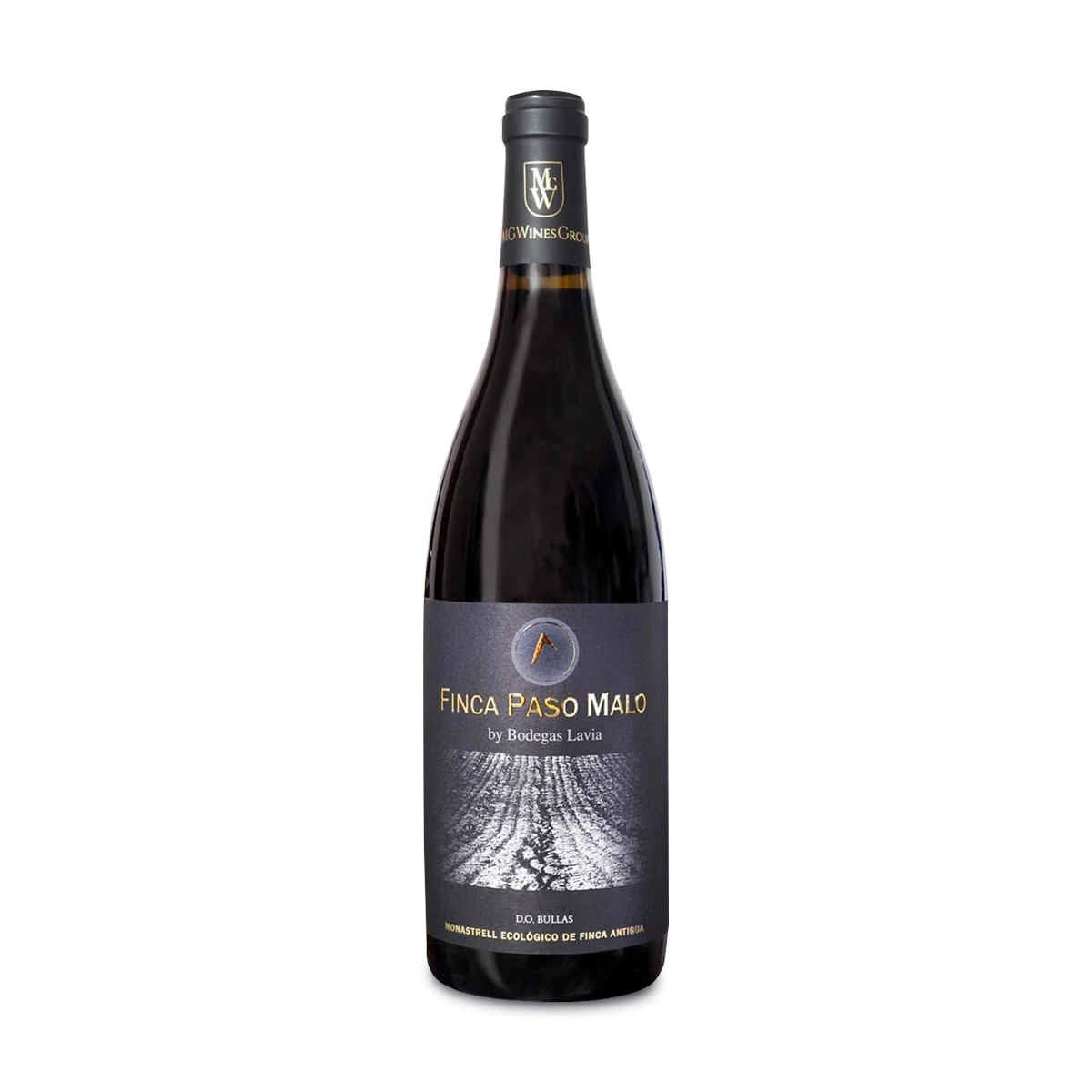 Lavia Finca Paso Malo Ecologico 2015