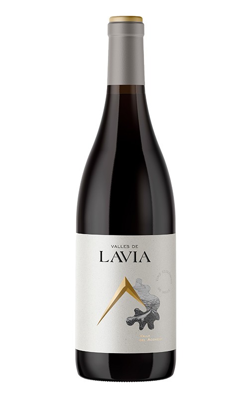 Valle de Lavia 2019