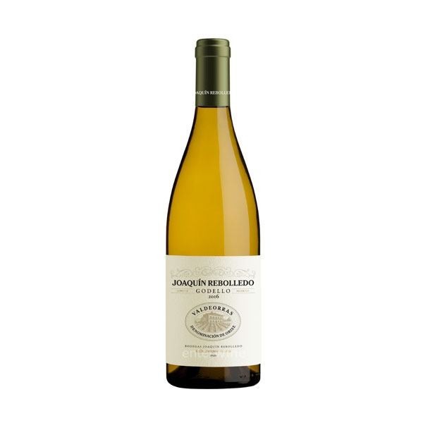 Joaquin Rebolledo Godello 2024