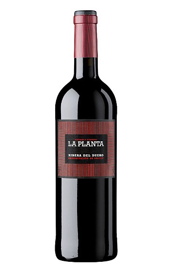La Planta Magnum