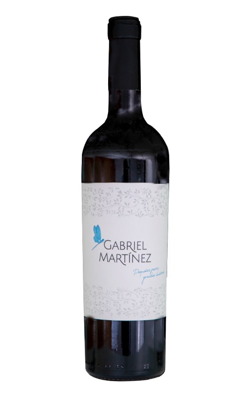 Gabriel Martinez 2019