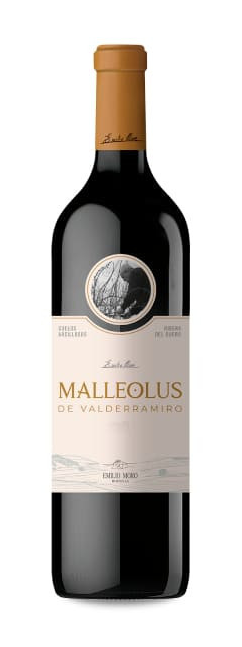 Malleolus de Valderramiro 2018