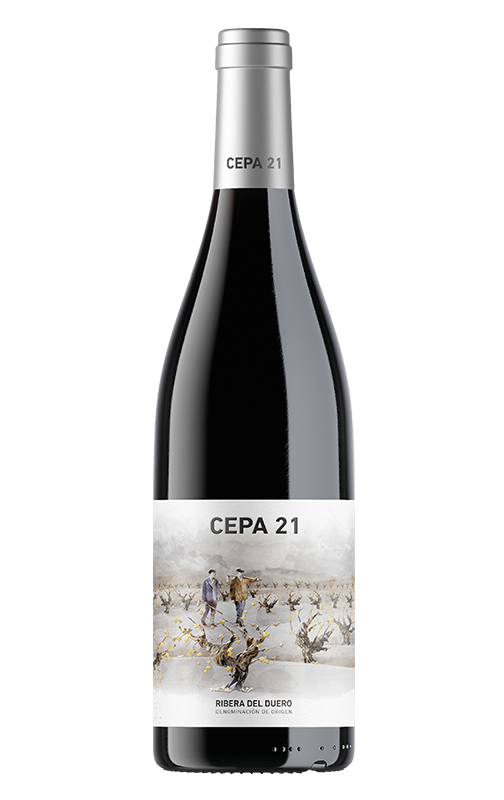 Cepa 21 2020