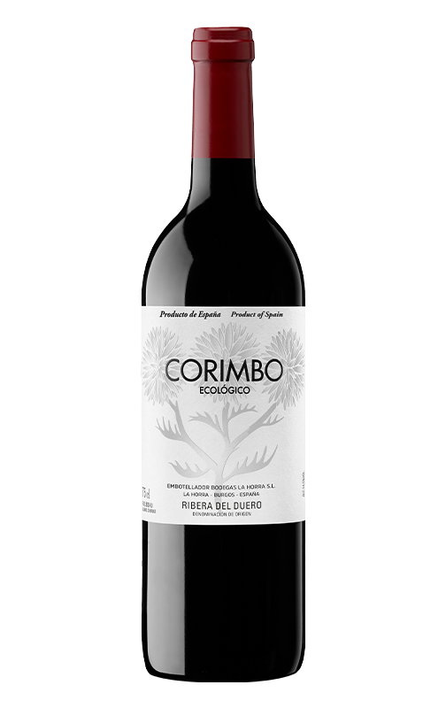 Corimbo 2021