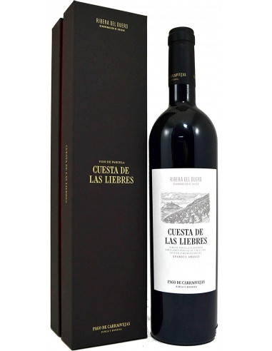 Pago de Carraovejas Cuesta de las Liebres 2019